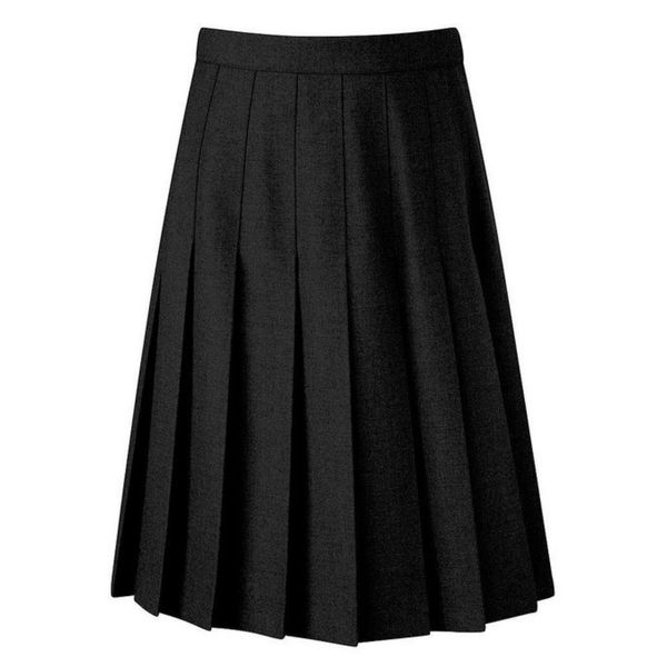 Excelsior Black Designer Pleated Skirt