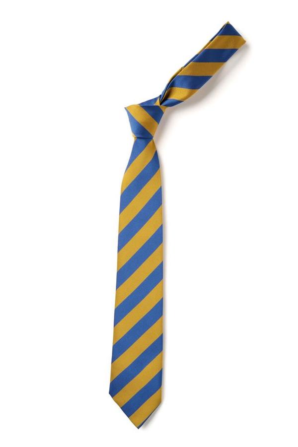 Whitburn Academy Gold and Blue Stripe Traditional Tie
