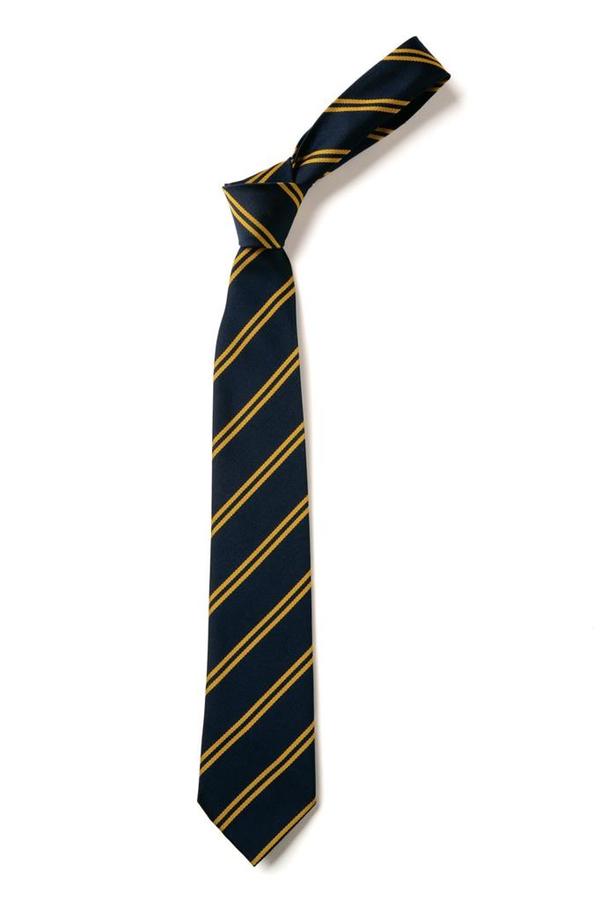 Stokesley Primary Navy and Gold Clip On Tie - (Yr 6 Only)
