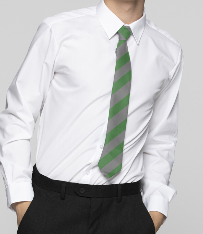 Whickham Year 9 (Sept 24) Bottle Green Stripe Tie